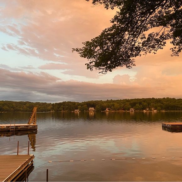 Meet your Posher, Carmela - Picture 3 of 3